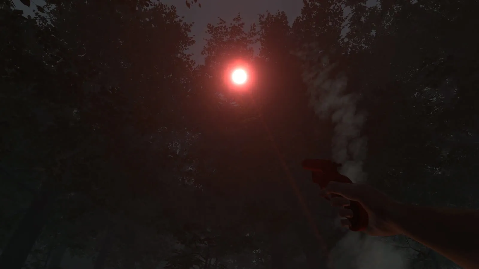 A red flare rising through the trees at night